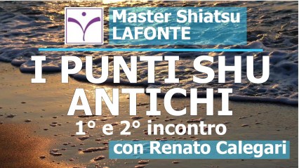 13. copertina I PUNTI SHU ANTICHI